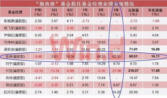 基金公司管理戰(zhàn)略配售基金 投資管理能力的關(guān)鍵維度